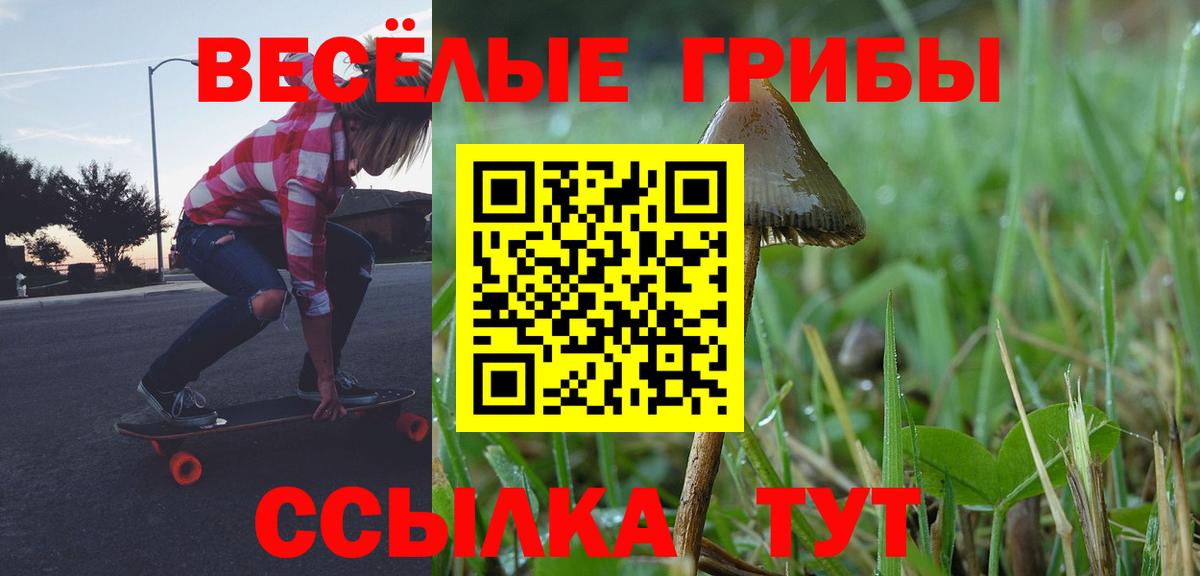 Галлюциногенные грибы мухоморы  Вход с VPN  Анжеро-Судженск  Галлюциногенные грибы Cubensis 